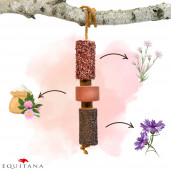 Jucarie din lemn Candy Horse Tummy