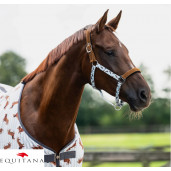 Capastru Stable Buddy QHP