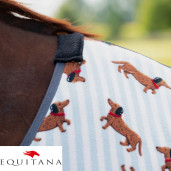 Patura polar Stable Buddy QHP