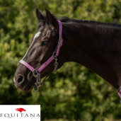 Set capastru cu lesa QHP Collection 2026