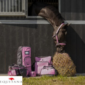 Buzunar de recompense QHP Collection 2026