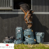 Buzunar de recompense QHP Collection 2026