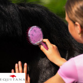 Perie coama Rosalynn QHP