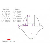 Capison Rosalynn QHP