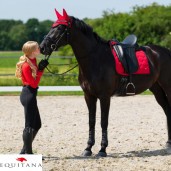 Colanti Oakleigh QHP