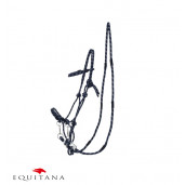 Capastru cu darlogi QHP