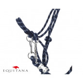 Capastru cu darlogi QHP