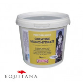 Supliment cu creatina pentru musculatura Equimins