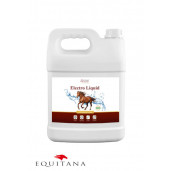 Electroliti Over Horse