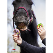 Gogosi glazurate Candy Horse Stable Party EDITIE LIMITATA!