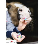 Bezele Candy Horse Stable Party