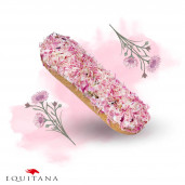 Ecler cu albastrele roz Candy Horse