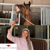 Ecler cu hibiscus Candy Horse