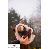 Ecler cu hibiscus Candy Horse