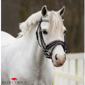 Frau Bixie QHP