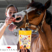 Jeleuri cu banane si capsune Candy Horse