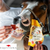 Jeleuri cu banane si capsune Candy Horse