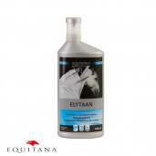 Equistro Elytaan