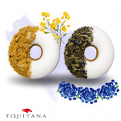 Gogosi Candy Horse Klitoria Rainbow World