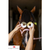 Gogosi Candy Horse Klitoria Rainbow World