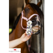 Ecler Candy Horse Klitoria Rainbow World