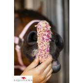 Ecler Candy Horse Gomfrena Rainbow World