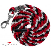Lesa Mustang