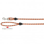 Lesa Norton cu maner