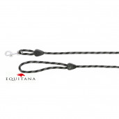 Lesa Norton cu maner