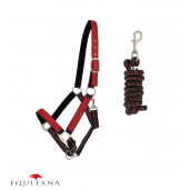 Set capastru cu lesa QHP Collection 2026