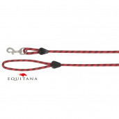 Lesa Norton cu maner