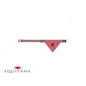 Zgarda caini QHP Collection