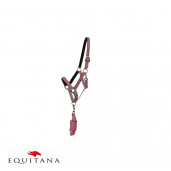Set capastru cu lesa QHP Collection