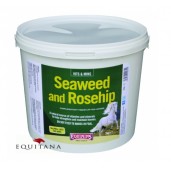 seaweed