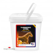 Turmeric Xtra, Equine America